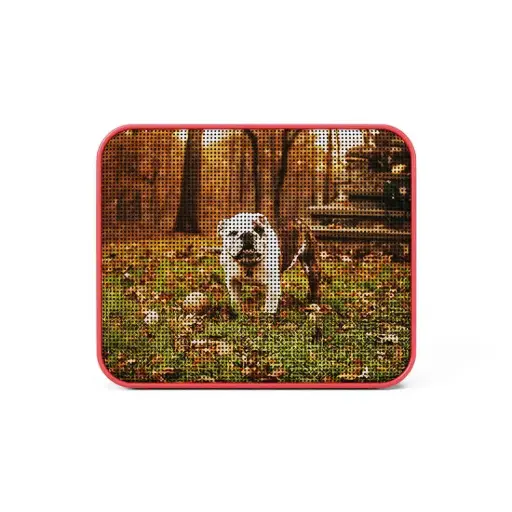 CS JBL Go Essential 2 Red Printed